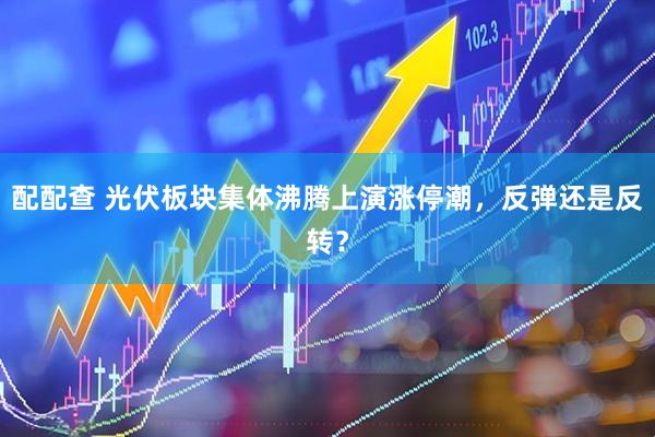 配配查 光伏板块集体沸腾上演涨停潮，反弹还是反转？